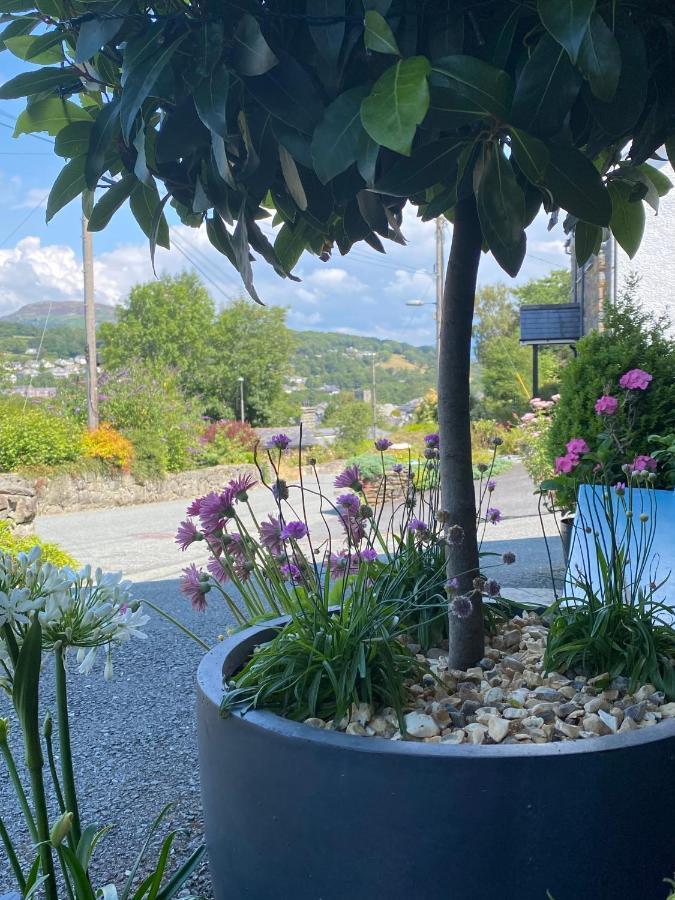 Snowdonia Snug - Studio Style Accommodation Dolgellau Ngoại thất bức ảnh