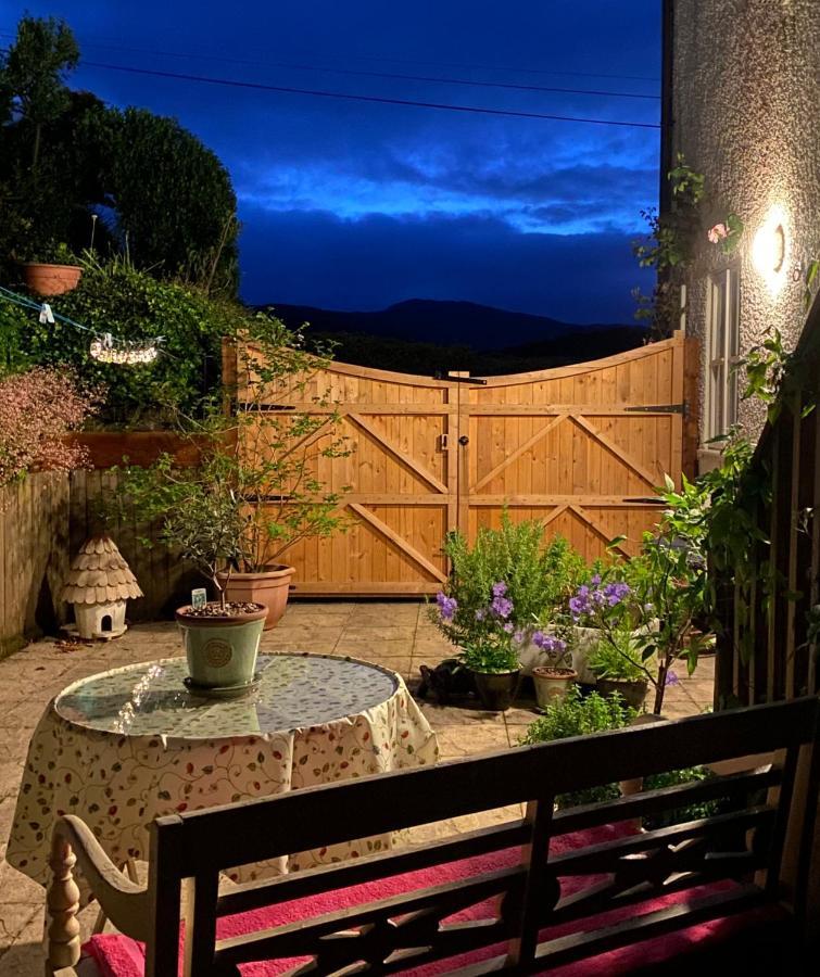 Snowdonia Snug - Studio Style Accommodation Dolgellau Ngoại thất bức ảnh