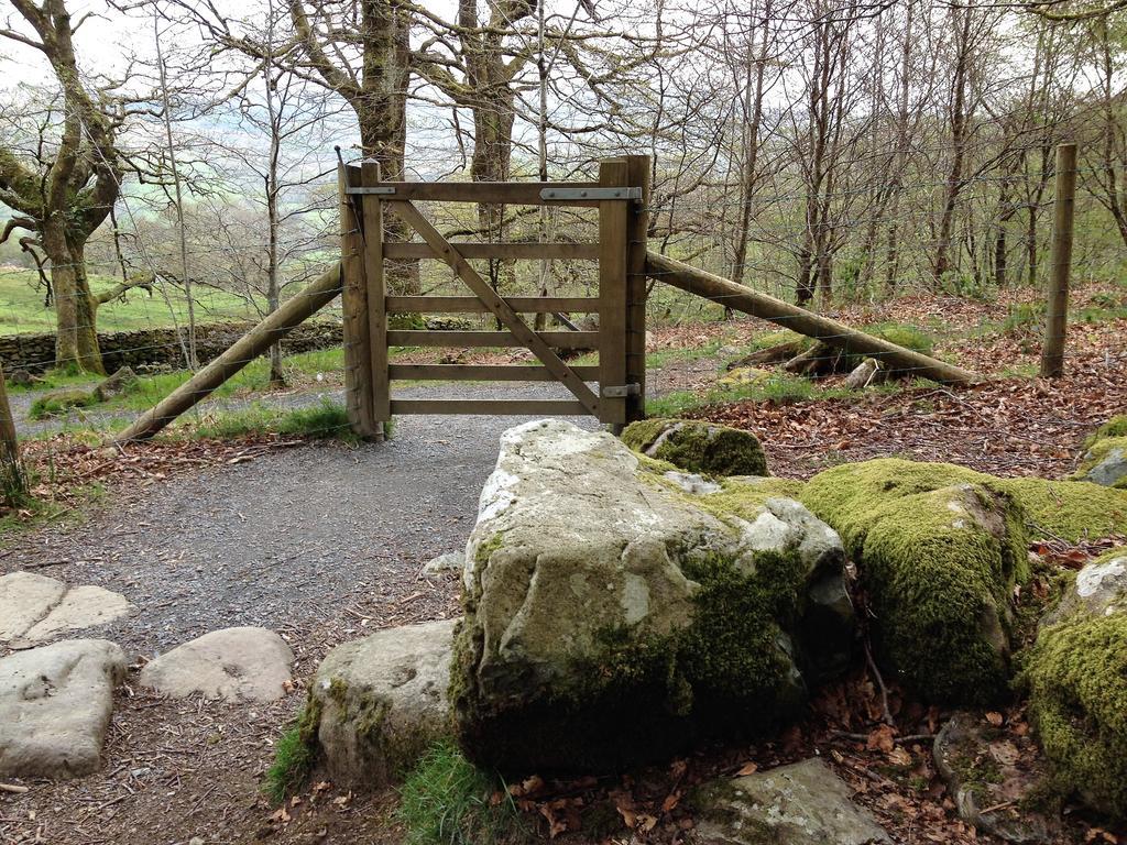 Snowdonia Snug - Studio Style Accommodation Dolgellau Ngoại thất bức ảnh