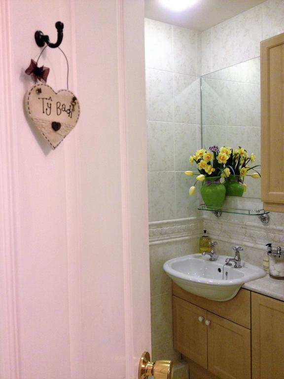 Snowdonia Snug - Studio Style Accommodation Dolgellau Ngoại thất bức ảnh